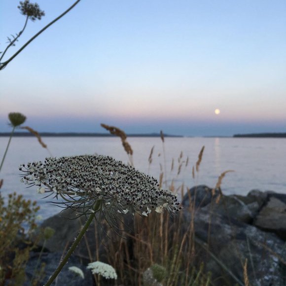 Meet your Posher, Olr - Picture 1 of 2